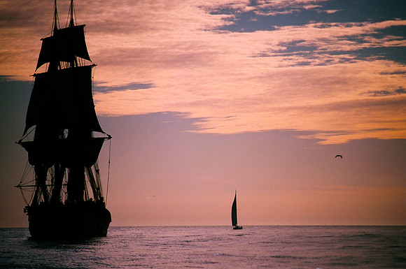 Surprise Under Sail 2