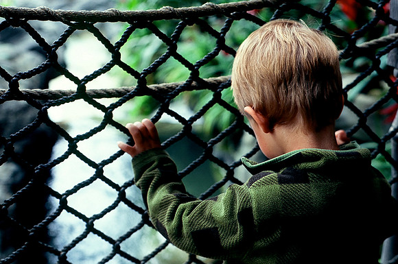On the Bridge